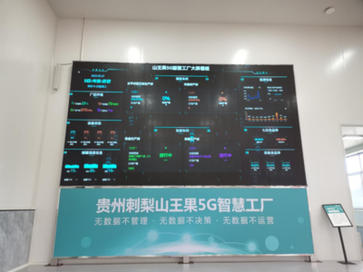 深耕'四张精品网' 助力中国式现代化开新篇——走进'云上之城'的数据处理与存储服务